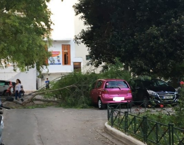 Χανιά: Δέντρο πλάκωσε αυτοκίνητο